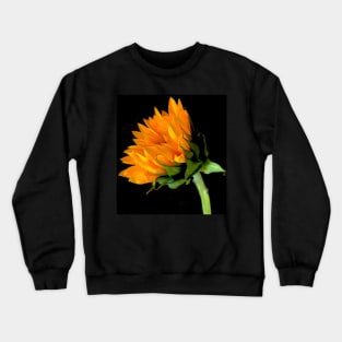 Sunflower Crewneck Sweatshirt